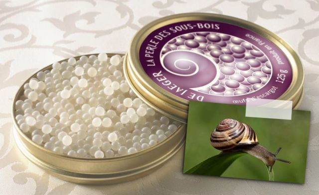 7 Telur Hewan Yang Bisa Dikonsumsi Selain Ayam